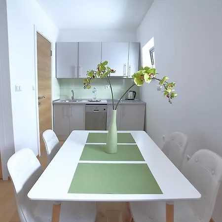 Green Apartments Bjelasnica 公寓 *